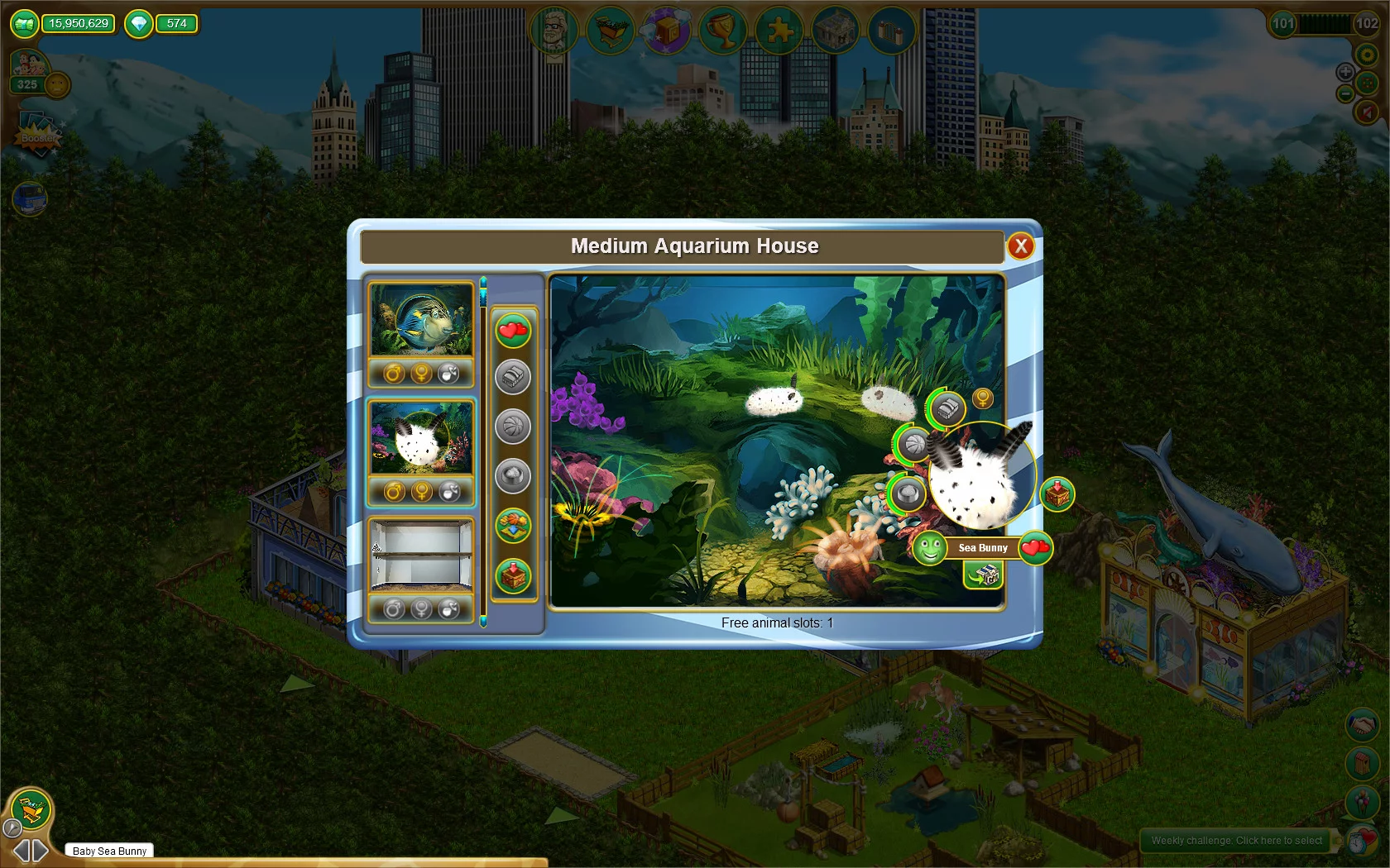 Изображение игры: My Free Zoo