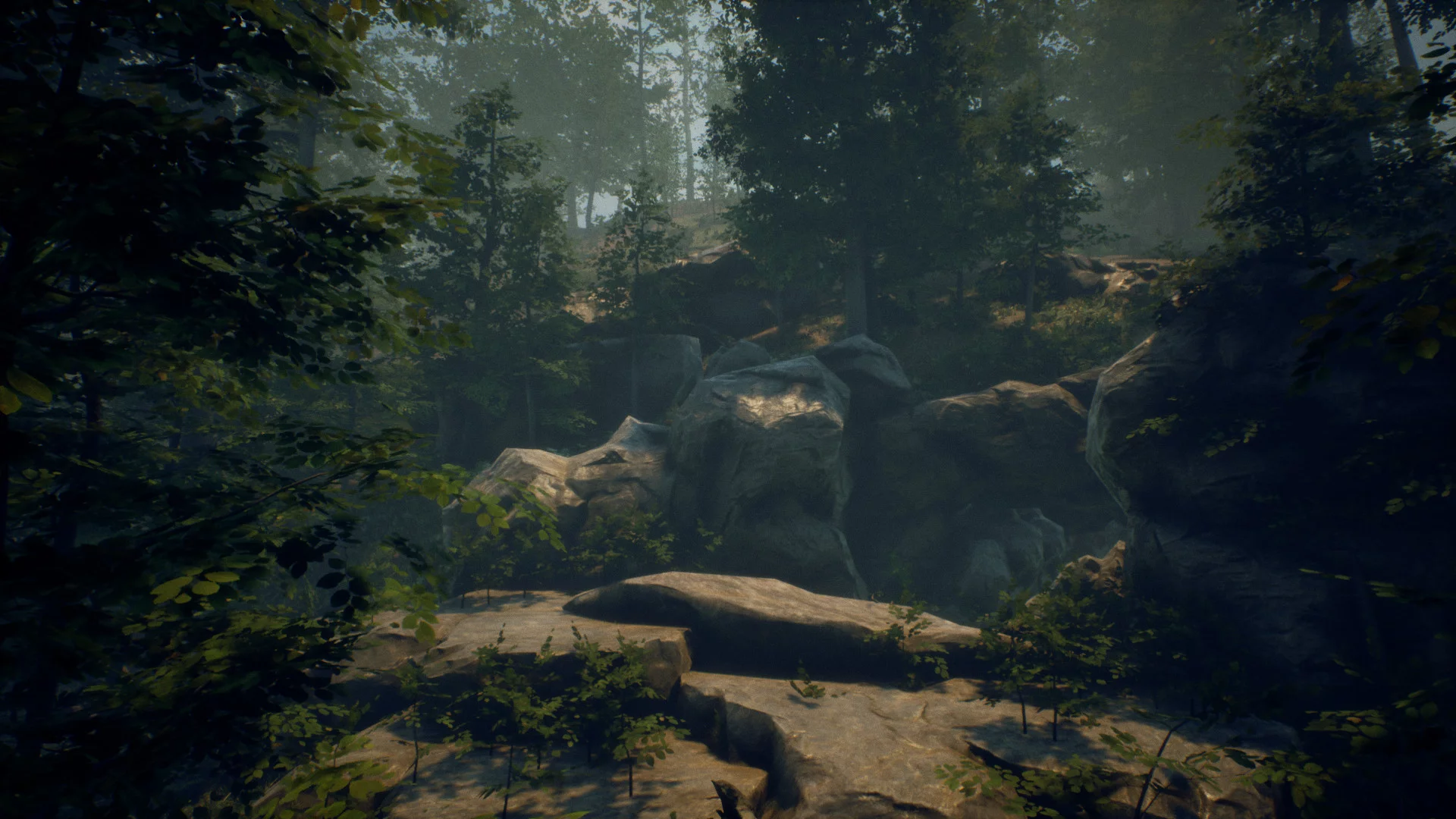 Изображение игры: Folklore Hunter