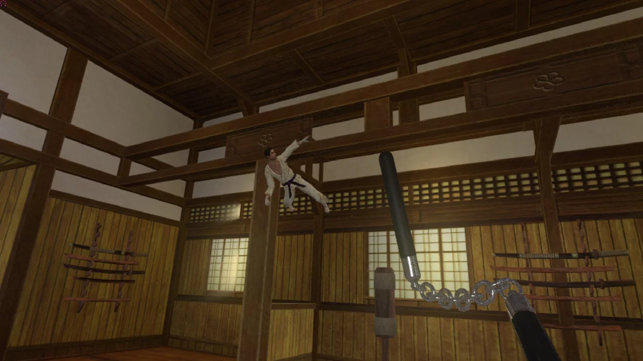 Изображение игры: Kung Fu All-Star VR