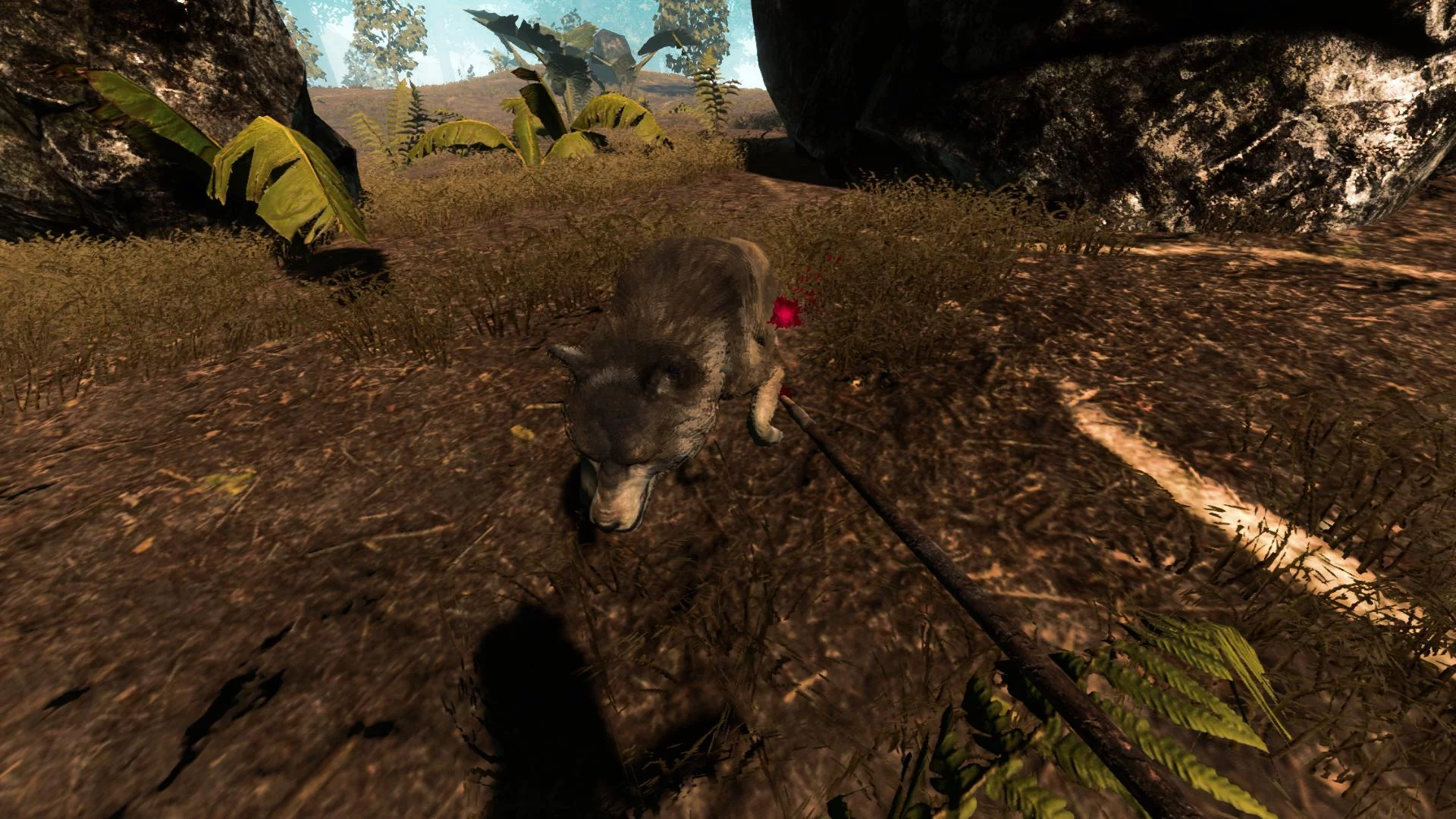 Изображение игры: Survival Simulator VR