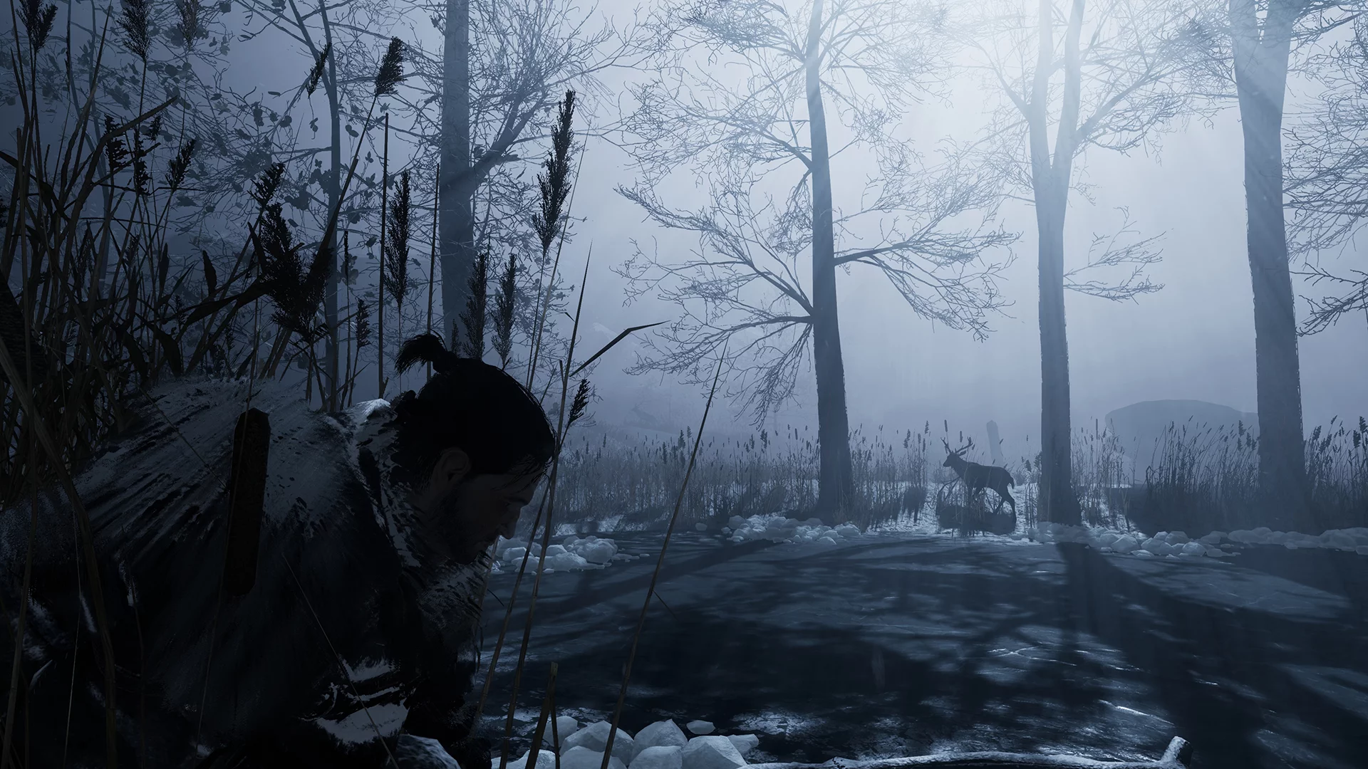 Изображение игры: Fade to Silence