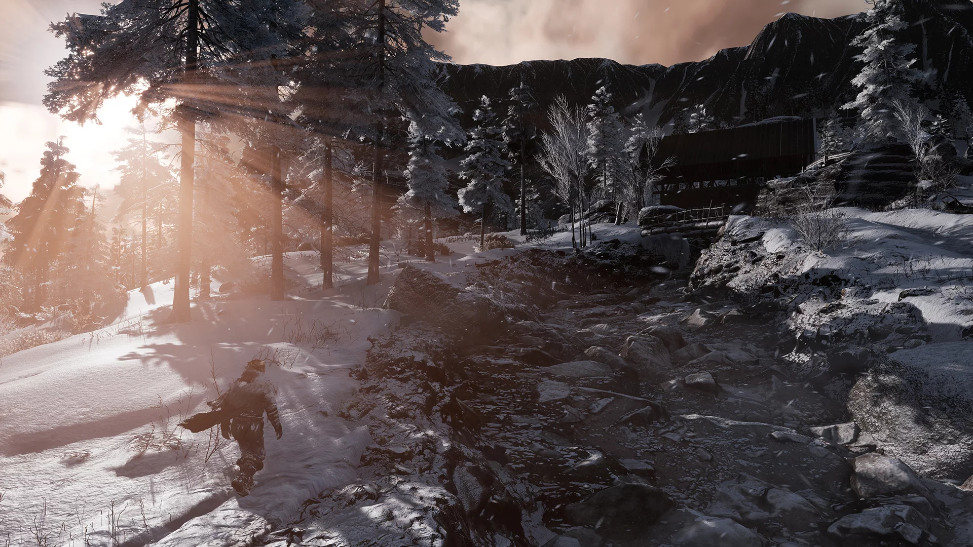 Изображение игры: Fade to Silence