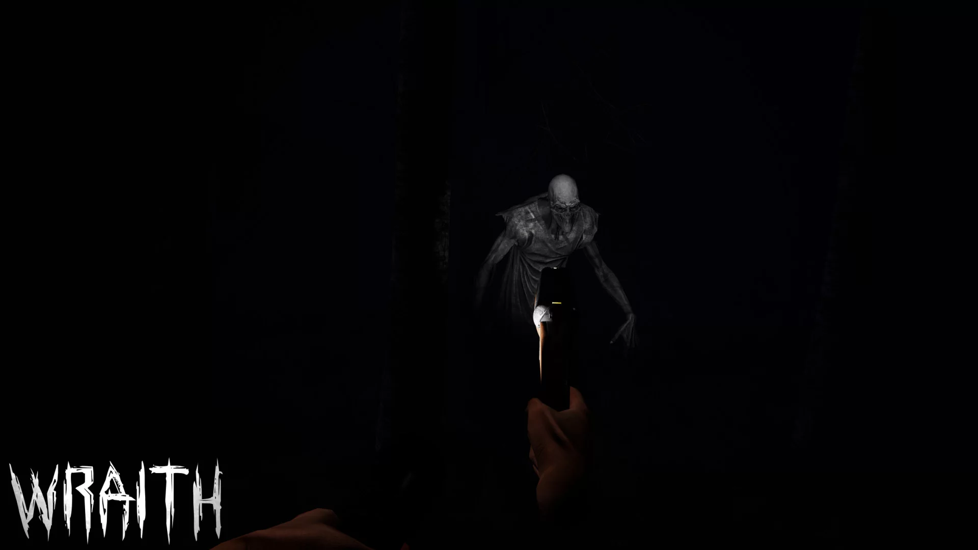 Изображение игры: Wraith