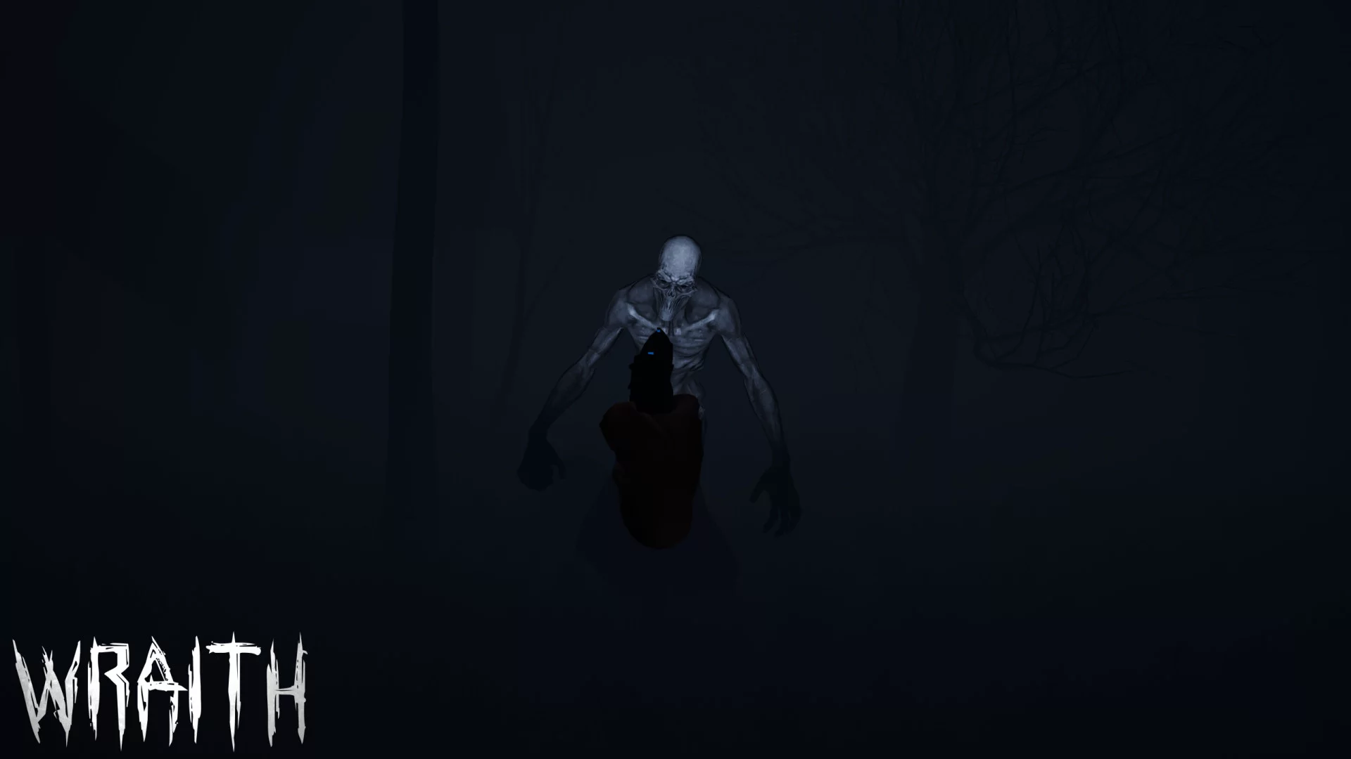 Изображение игры: Wraith