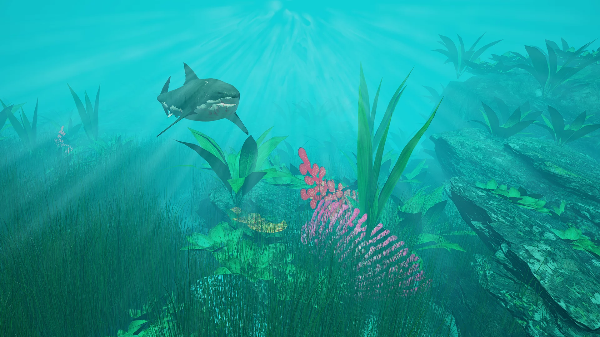 Изображение игры: Tropical Escape