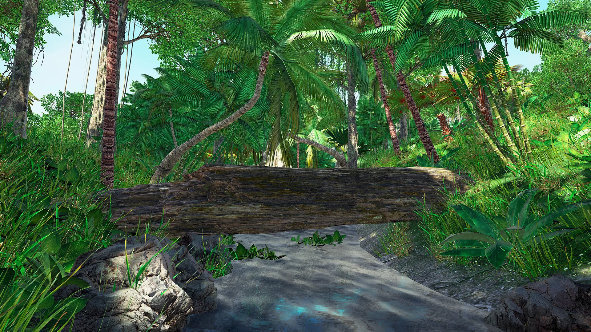 Изображение игры: Tropical Escape