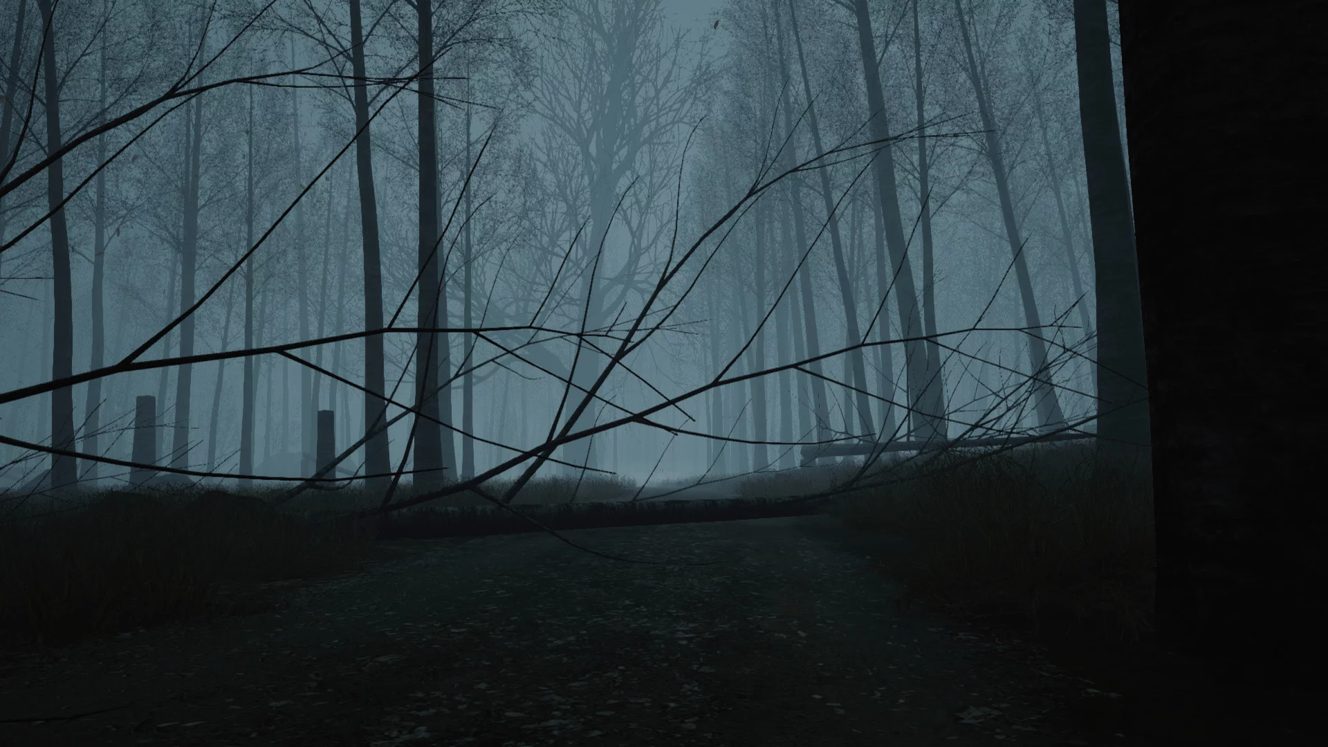 Изображение игры: Dead Forest