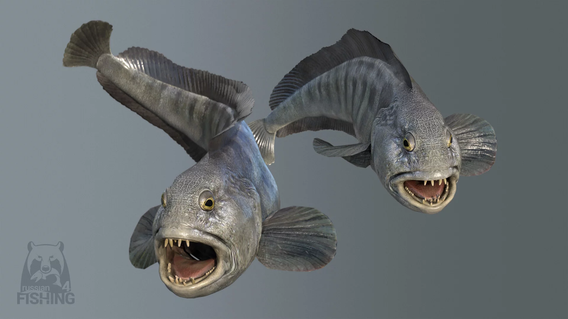 Изображение игры: Russian Fishing 4