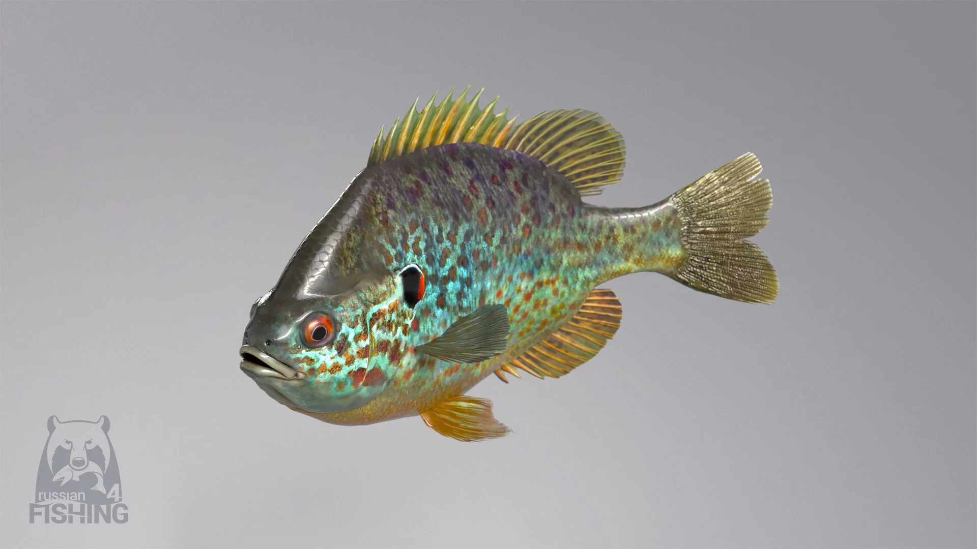 Изображение игры: Russian Fishing 4