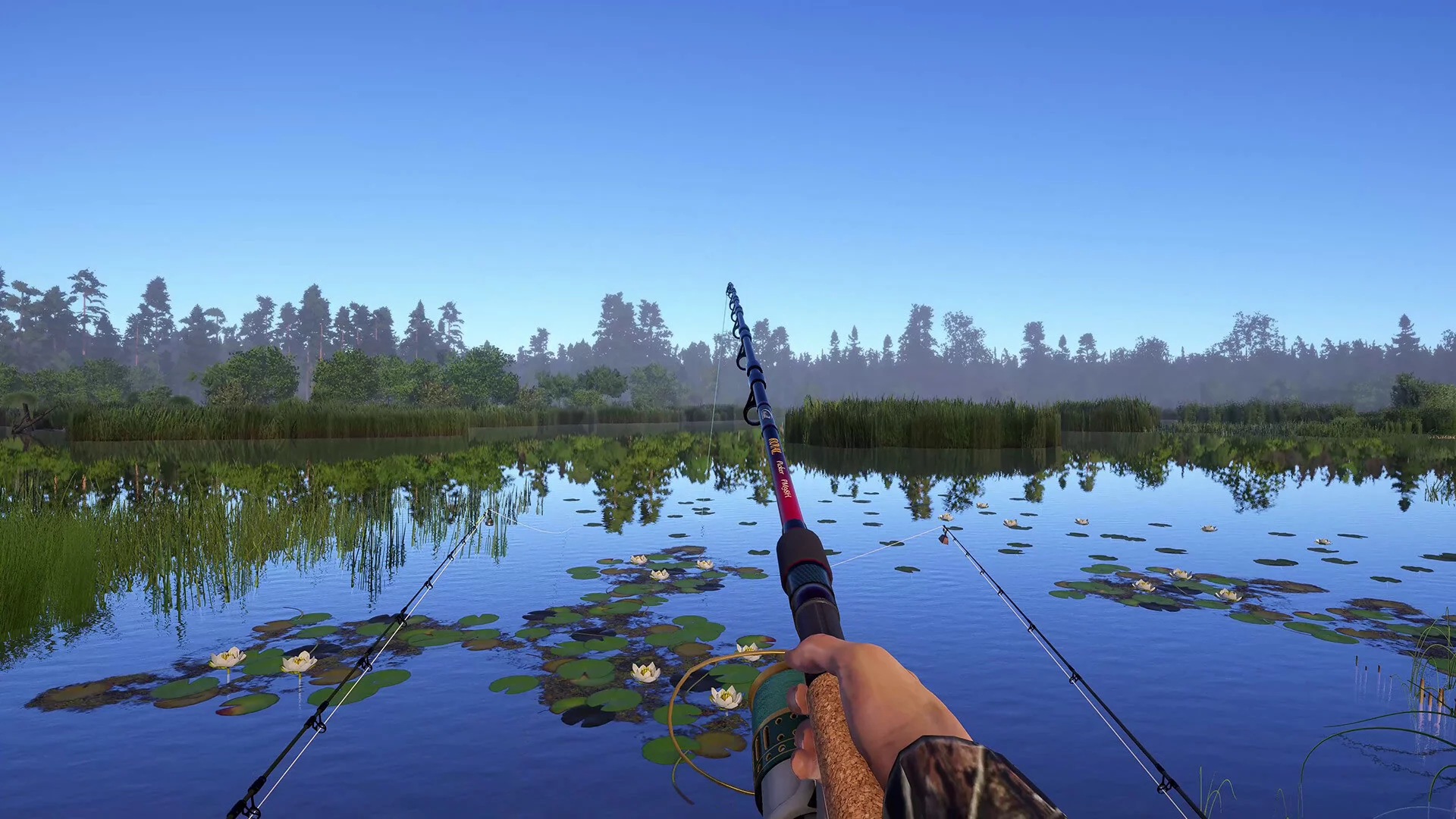 Изображение игры: Russian Fishing 4