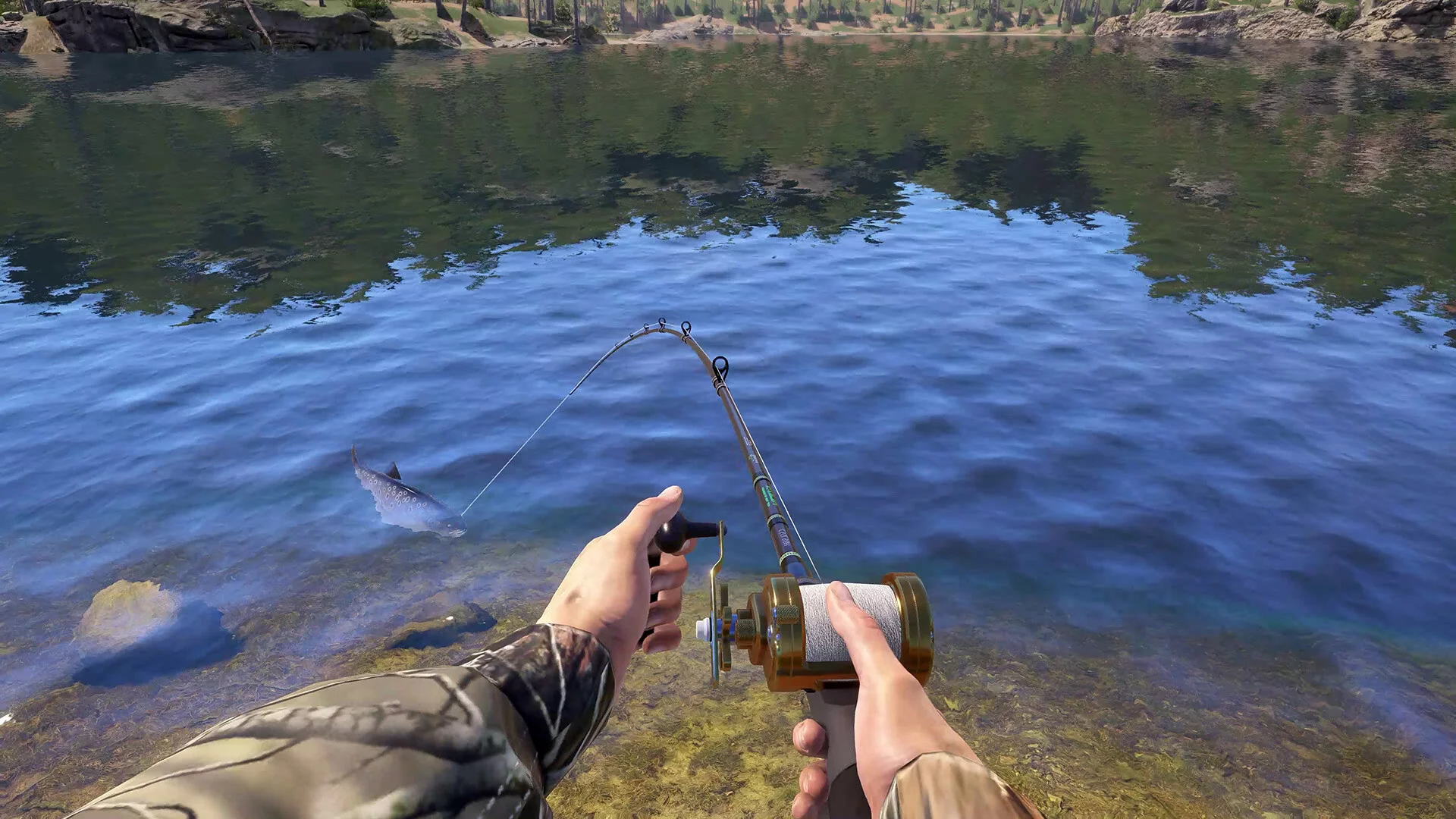 Изображение игры: Russian Fishing 4