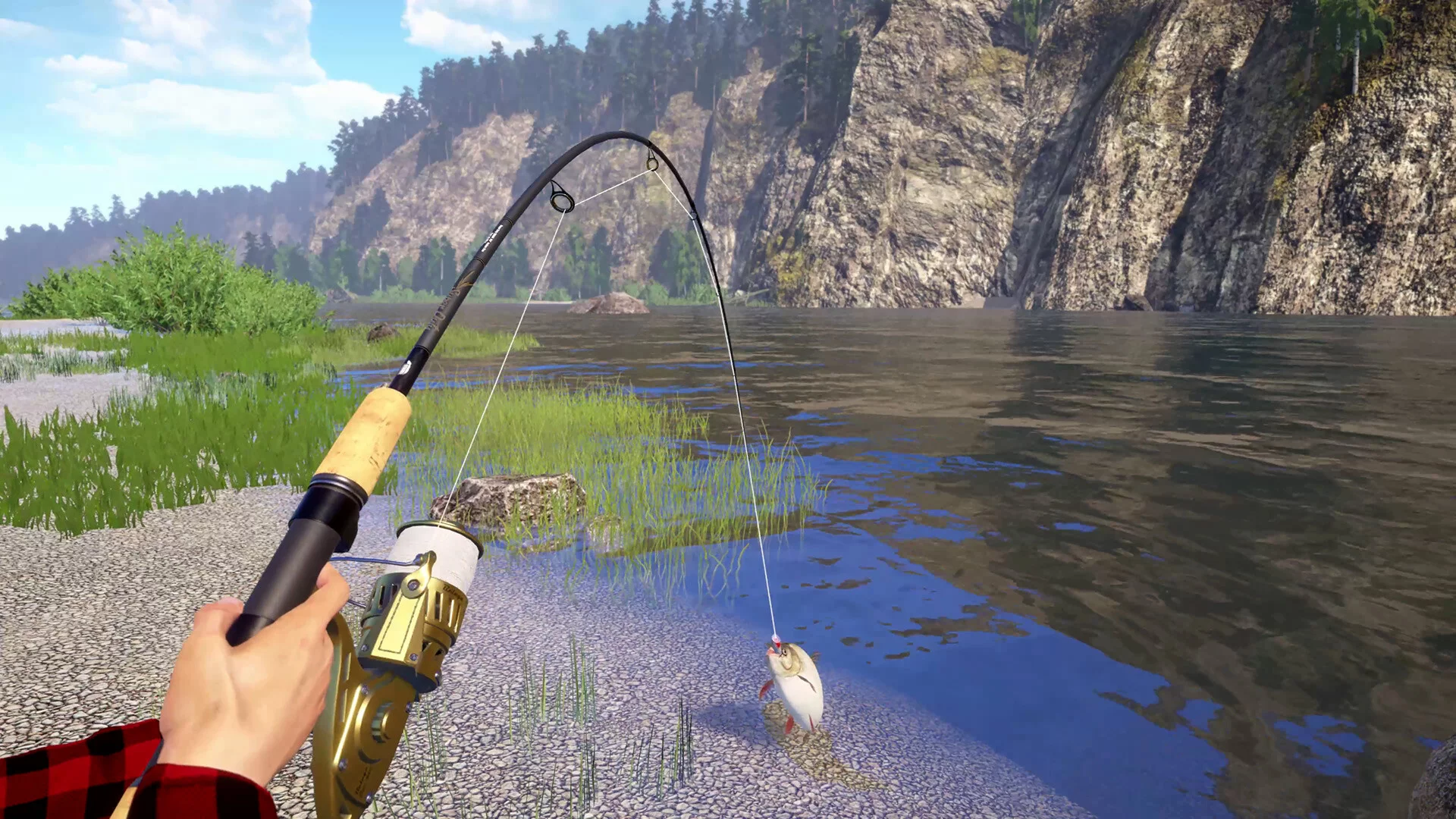 Изображение игры: Russian Fishing 4