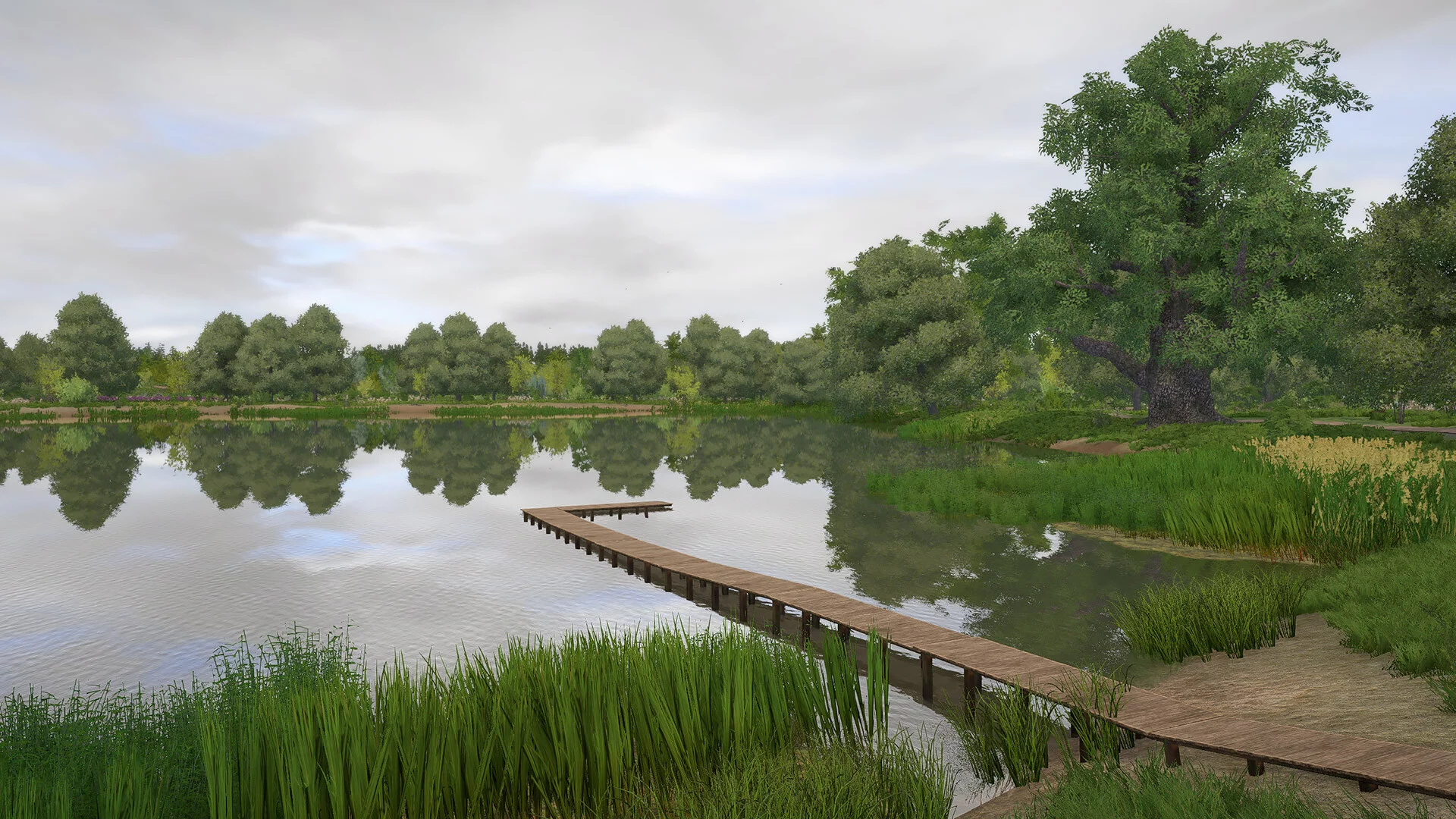 Изображение игры: Russian Fishing 4