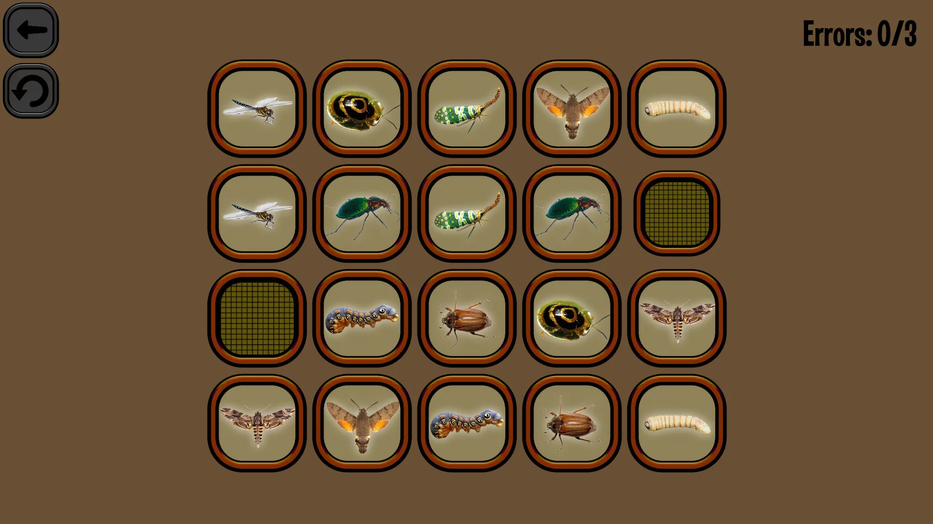 Изображение игры: Animals Memory: Insect