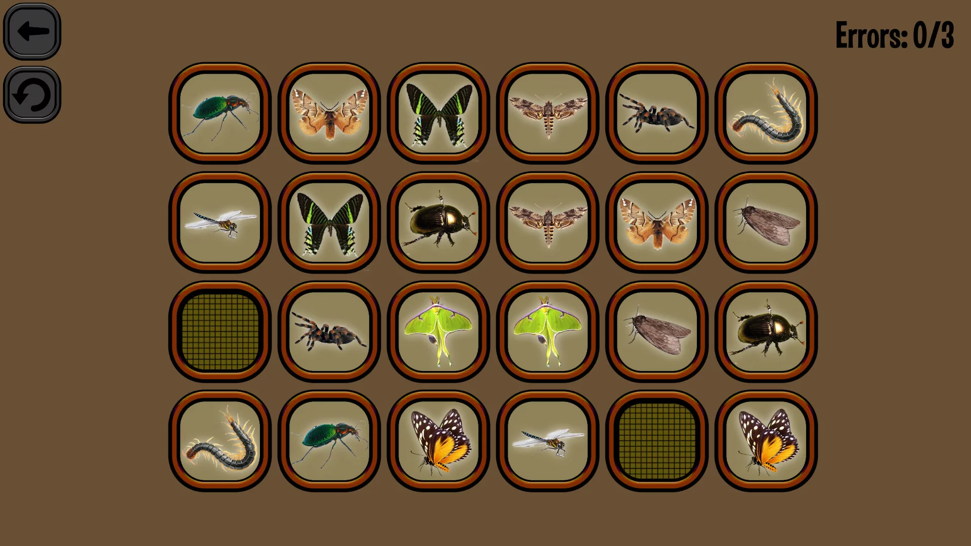Изображение игры: Animals Memory: Insect