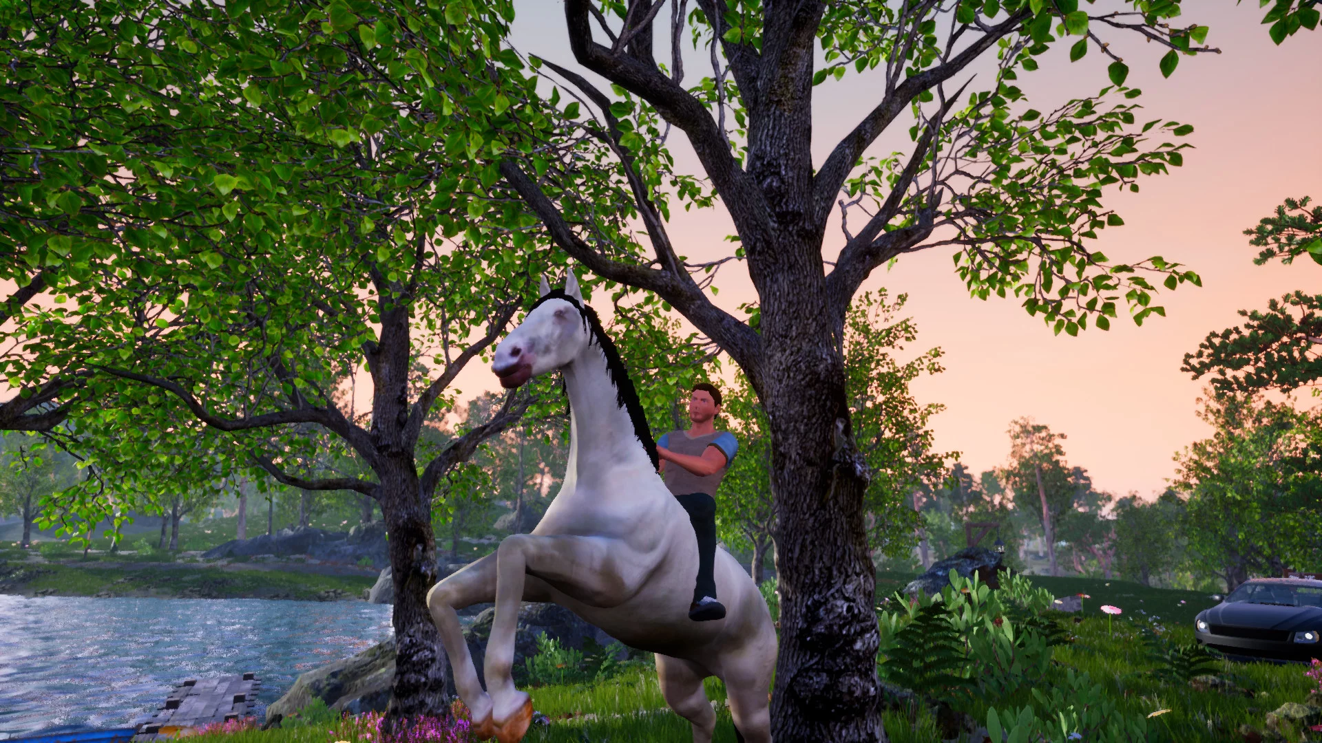 Изображение игры: Horse Riding Deluxe