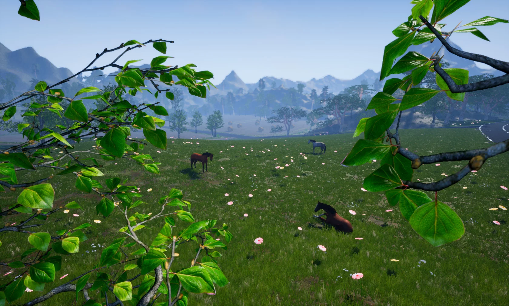 Изображение игры: Horse Riding Deluxe