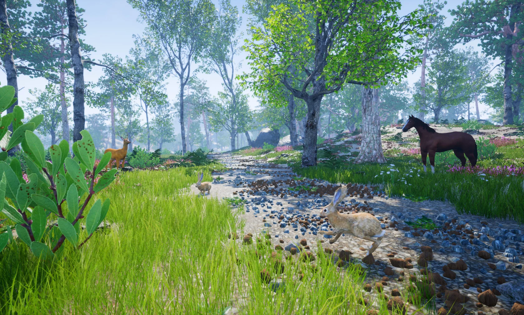 Изображение игры: Horse Riding Deluxe