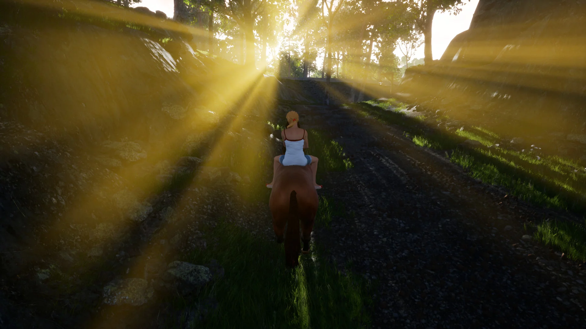 Изображение игры: Horse Riding Deluxe