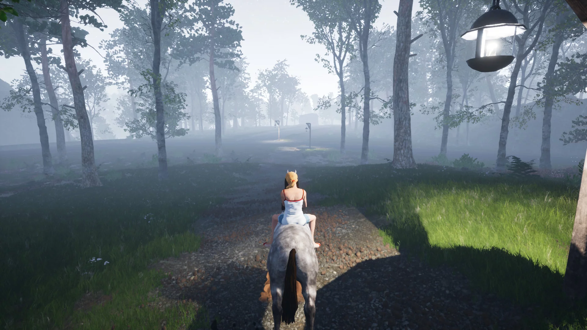 Изображение игры: Horse Riding Deluxe