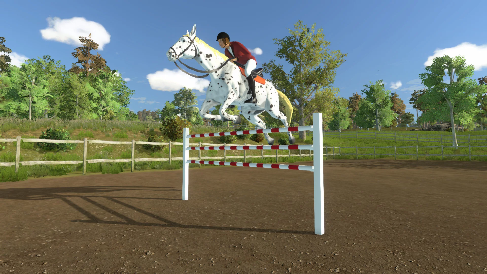 Изображение игры: My Little Riding Champion