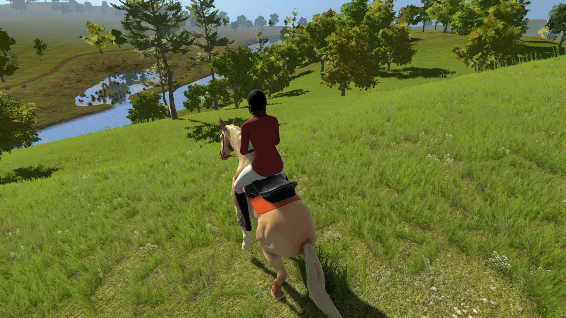 Изображение игры: My Little Riding Champion