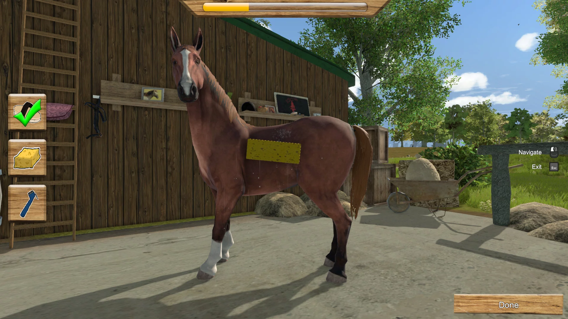 Изображение игры: My Little Riding Champion