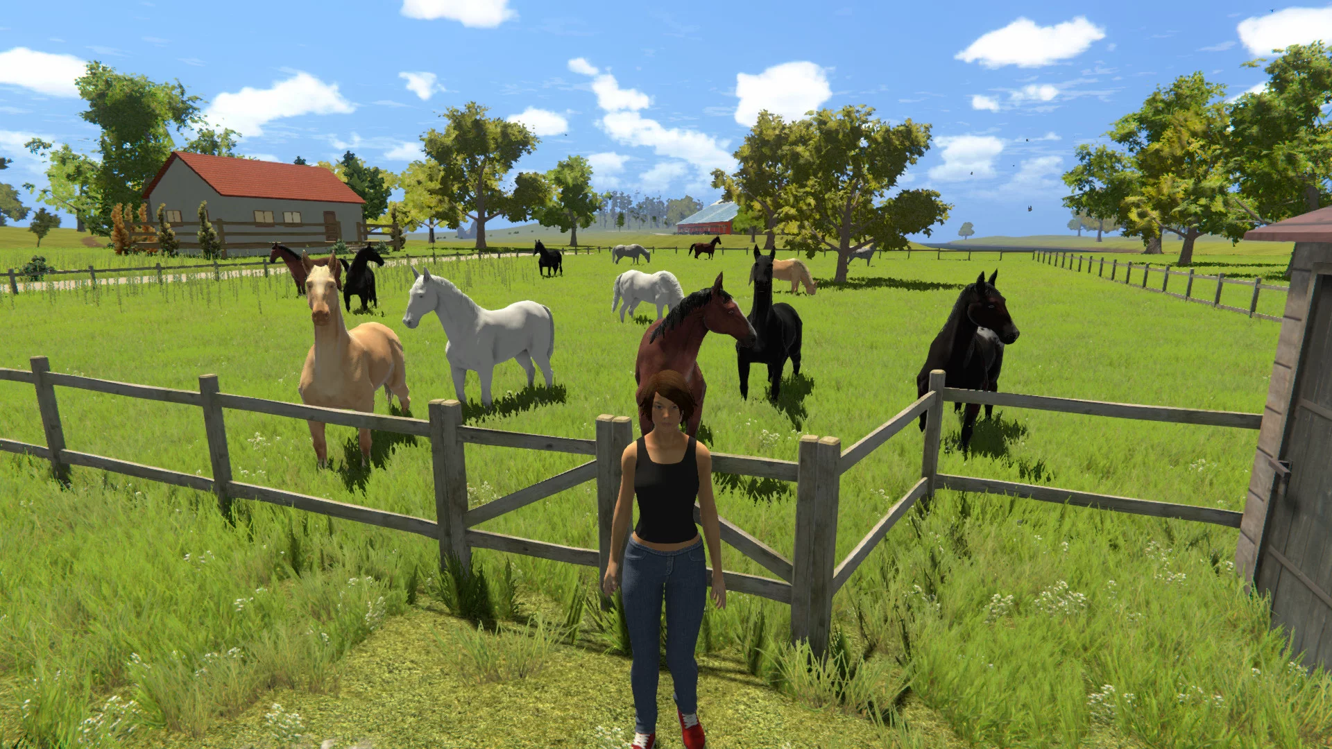 Изображение игры: My Little Riding Champion