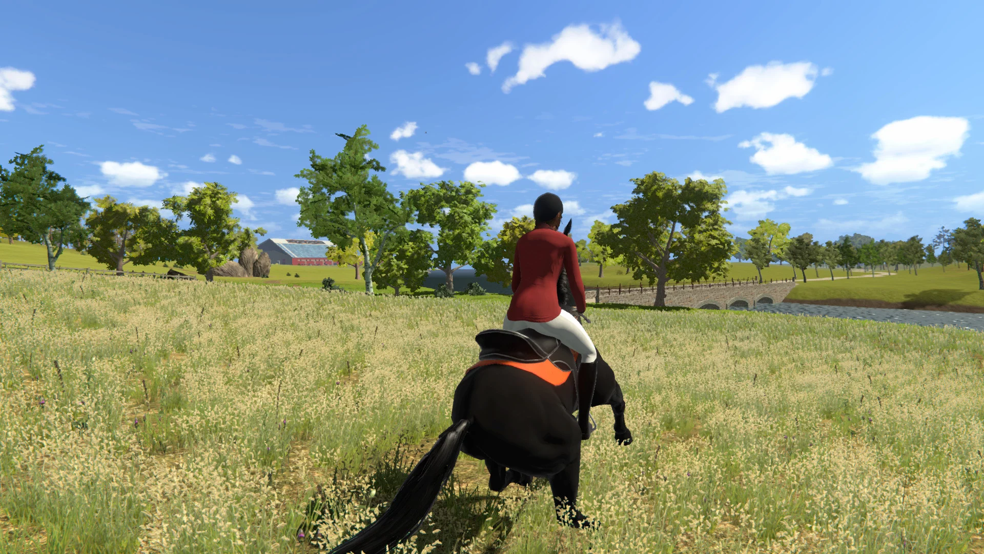 Изображение игры: My Little Riding Champion