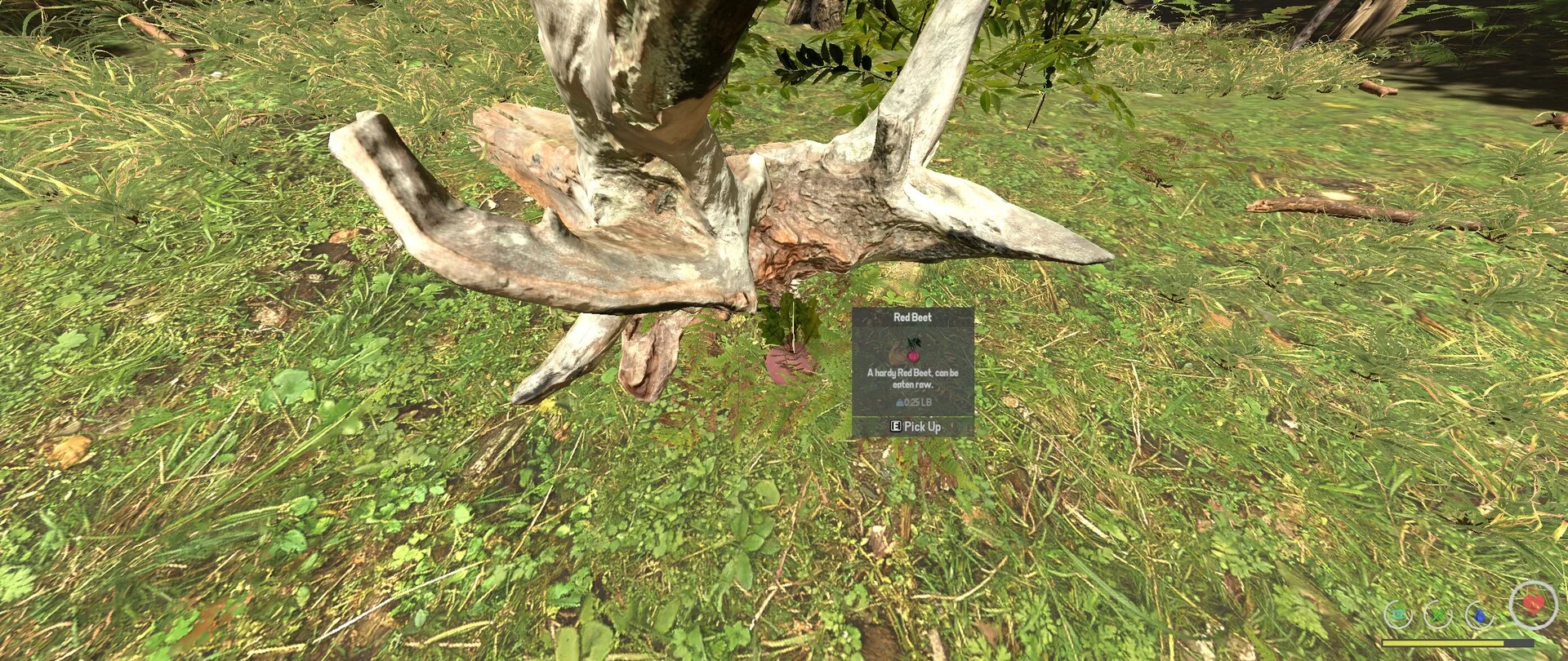 Изображение игры: BugOut