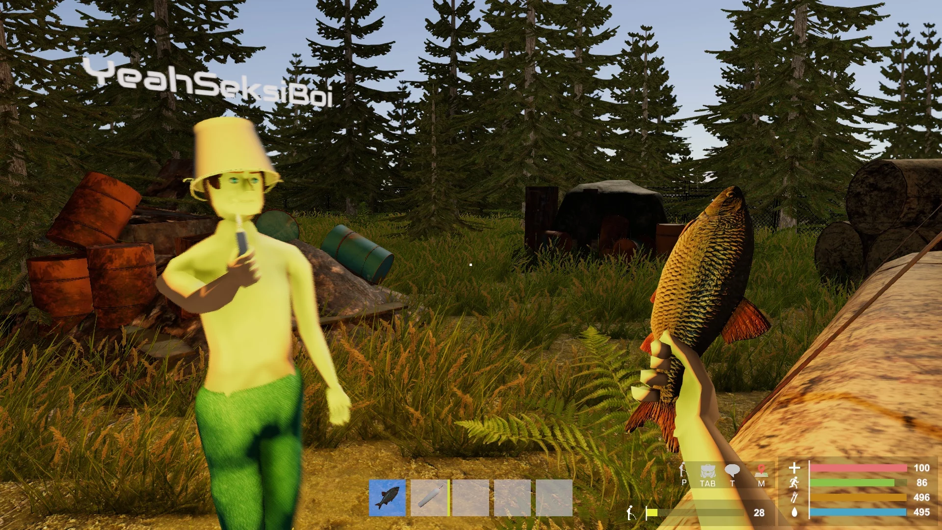 Изображение игры: Pillage