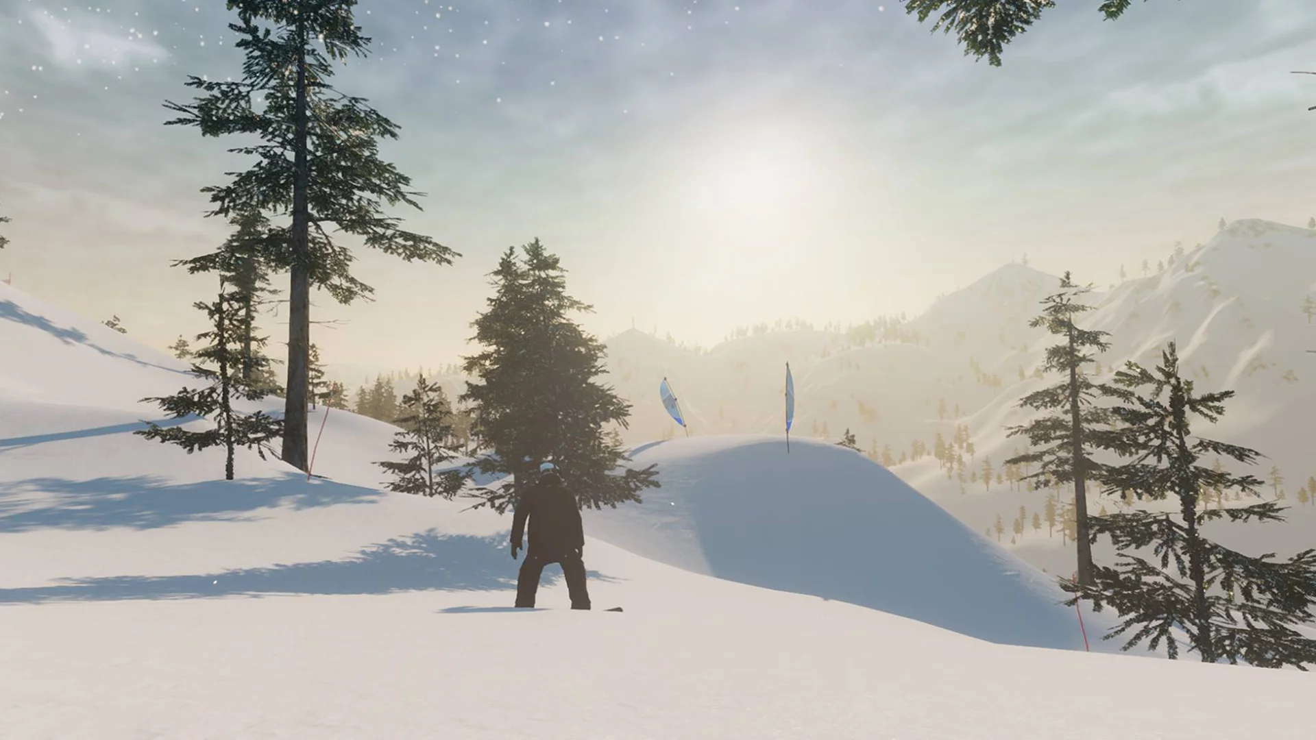 Изображение игры: The Snowboard Game