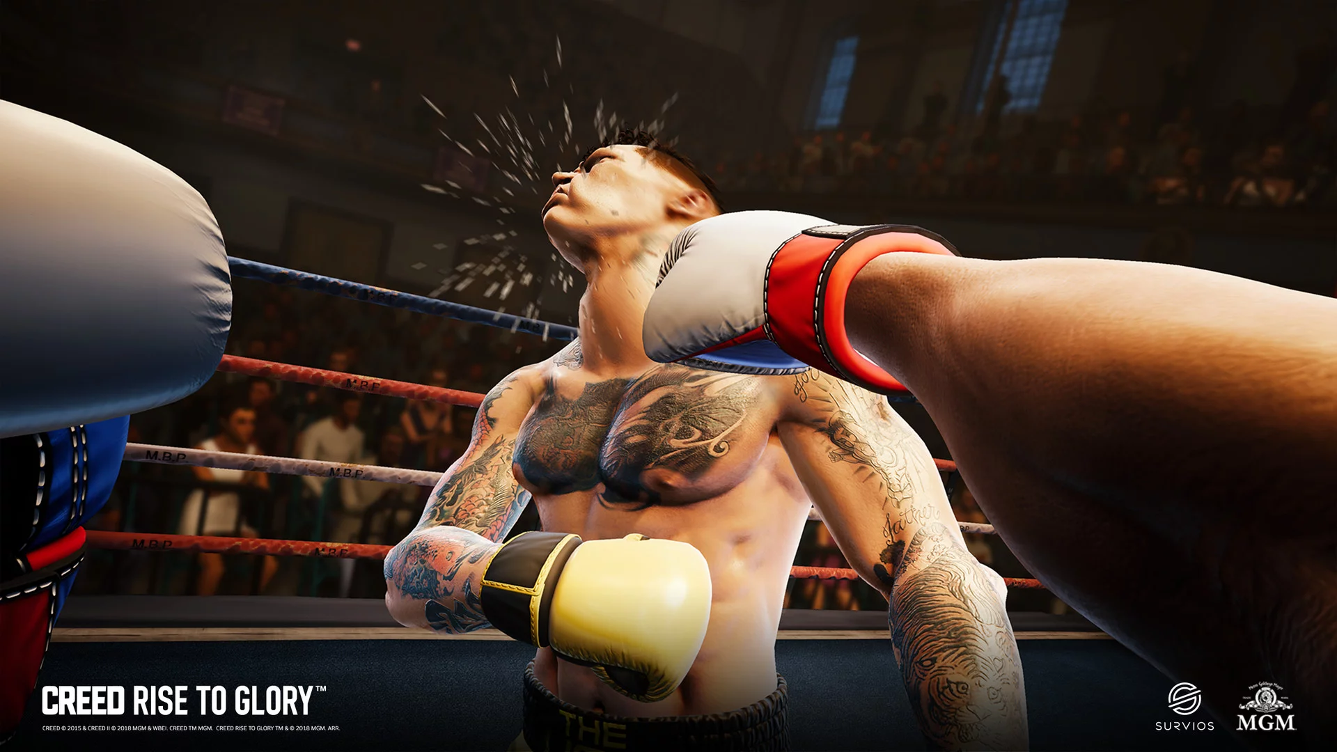 Изображение игры: Creed: Rise to Glory™