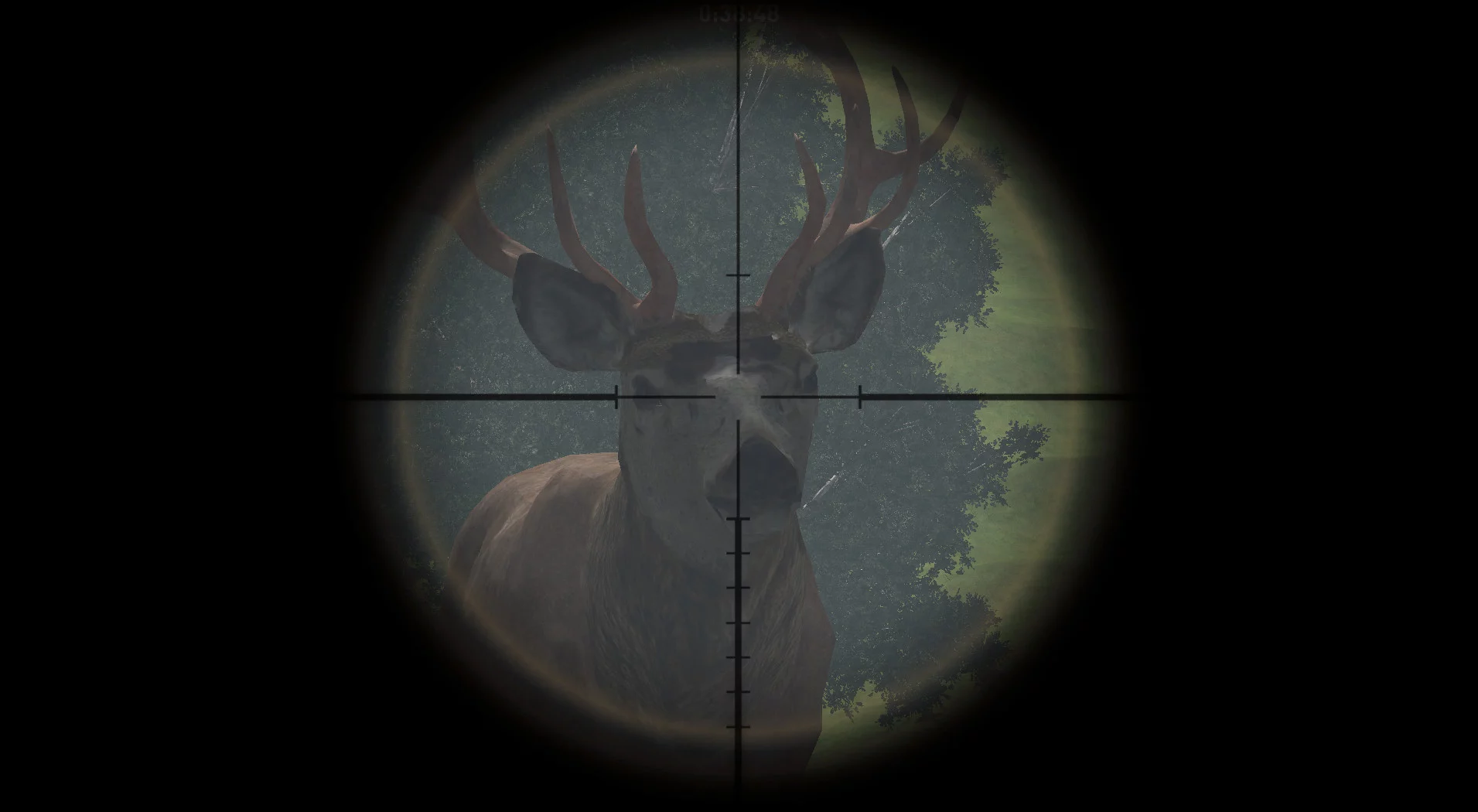 Изображение игры: DeerHunterX