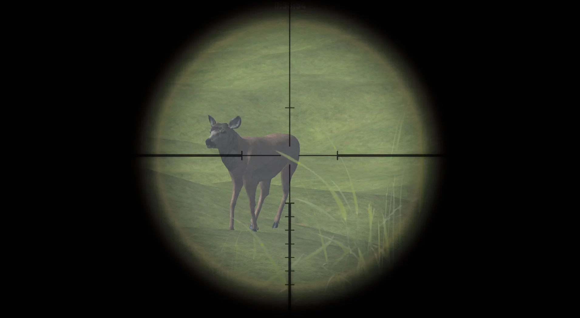 Изображение игры: DeerHunterX