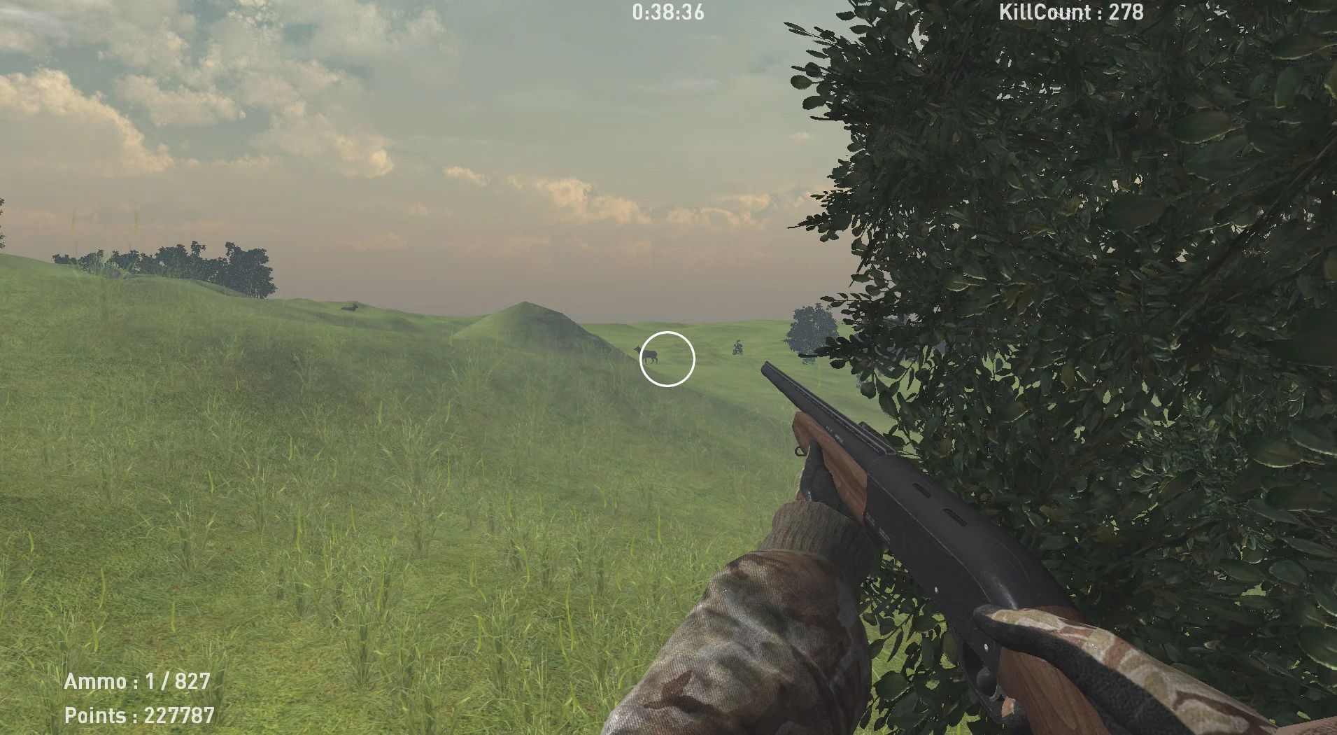 Изображение игры: DeerHunterX