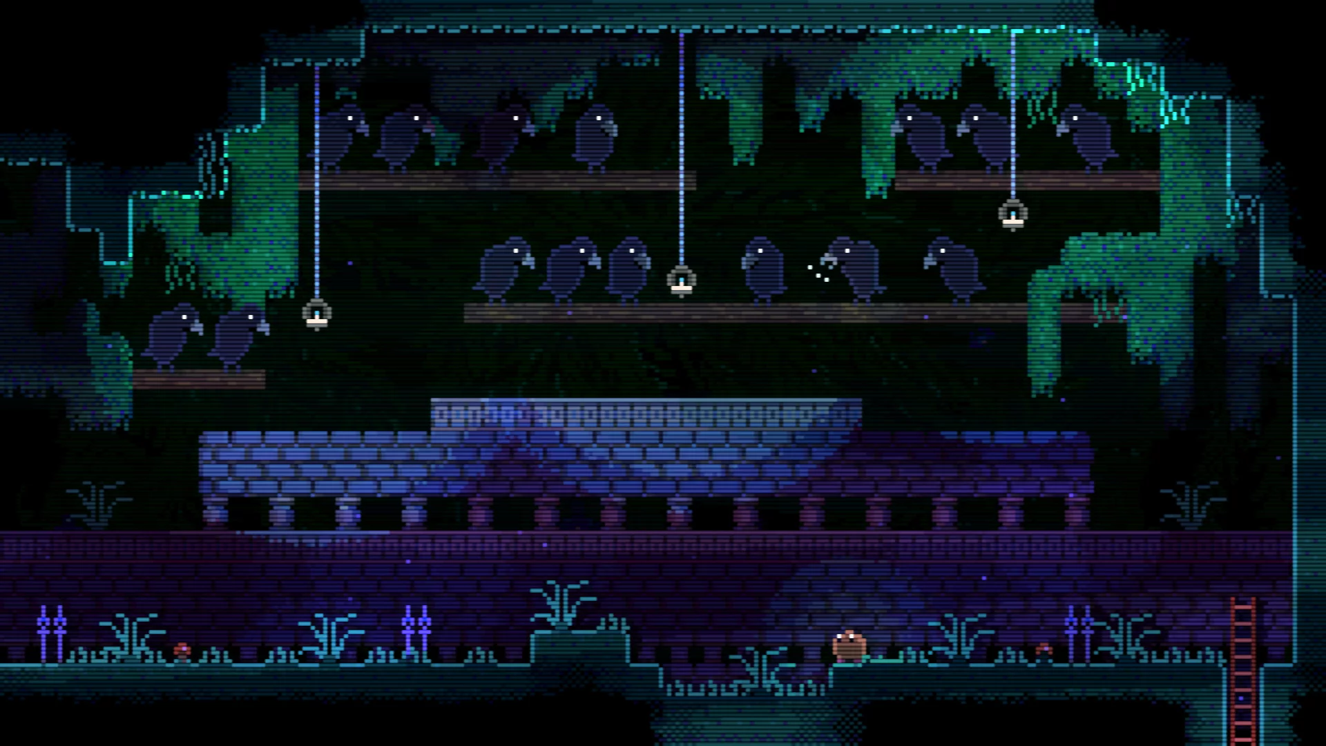 Изображение игры: ANIMAL WELL