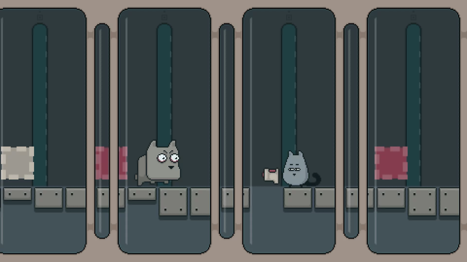 Изображение игры: Gray Cat