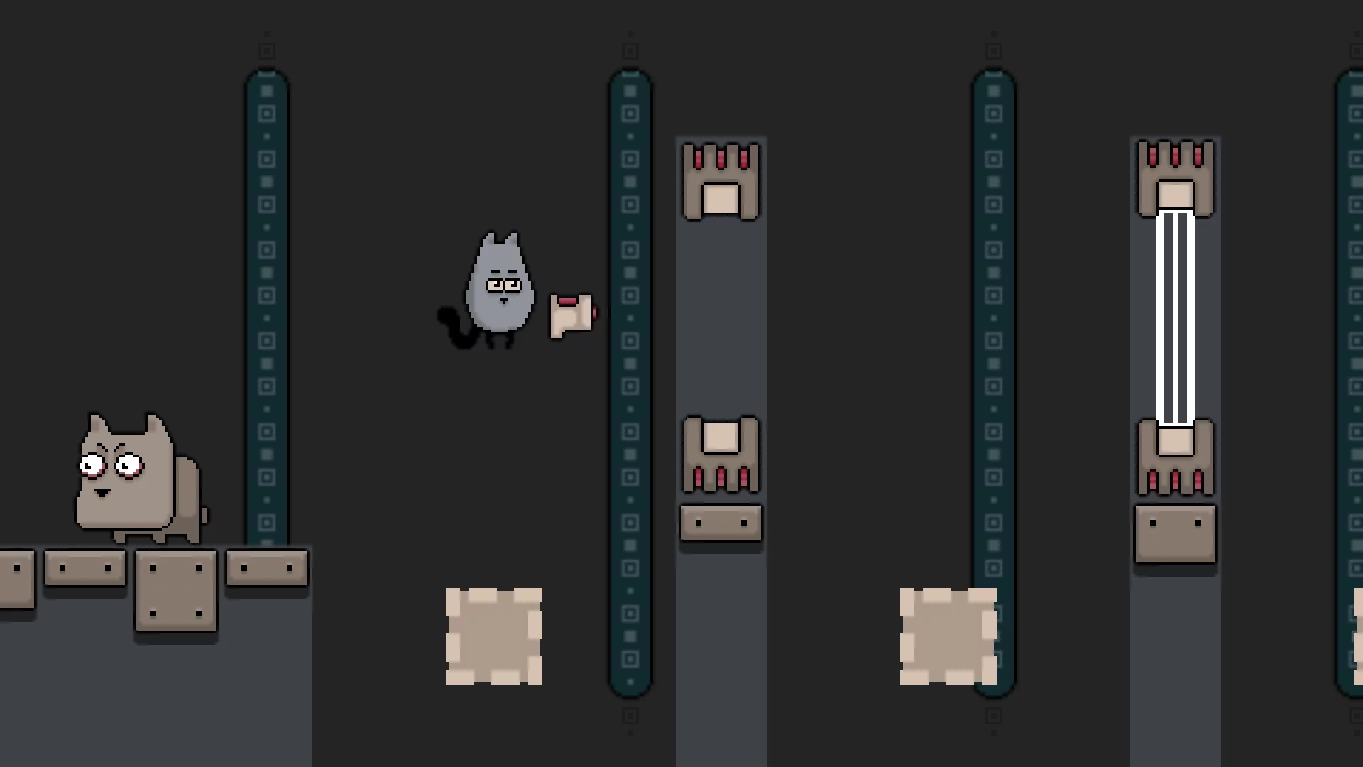 Изображение игры: Gray Cat