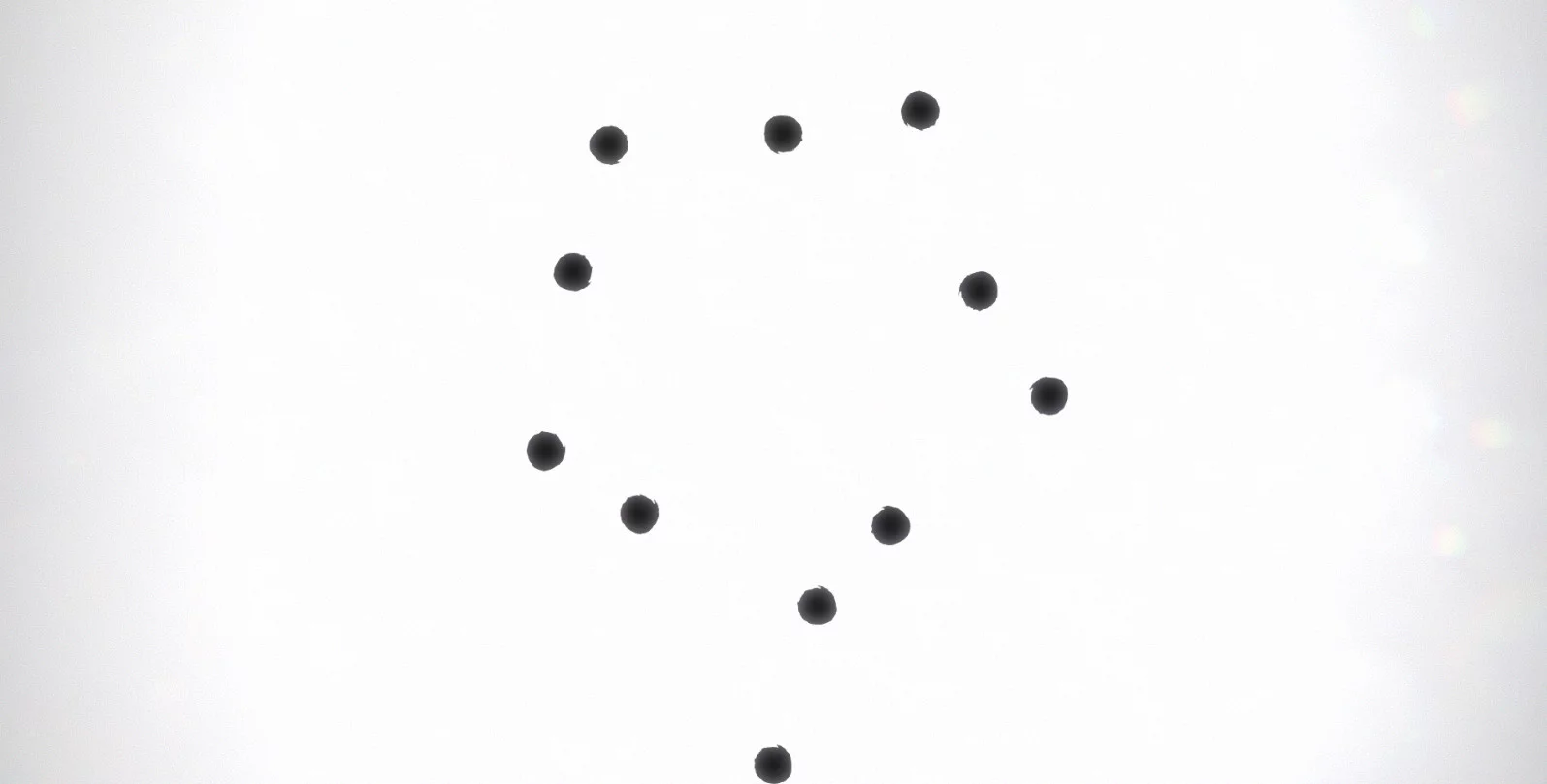 Изображение игры: Black Circle