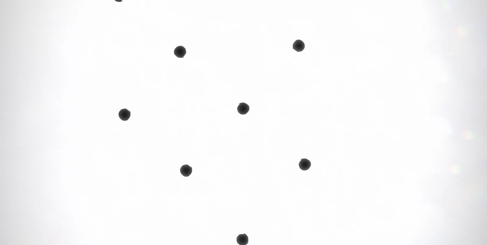 Изображение игры: Black Circle