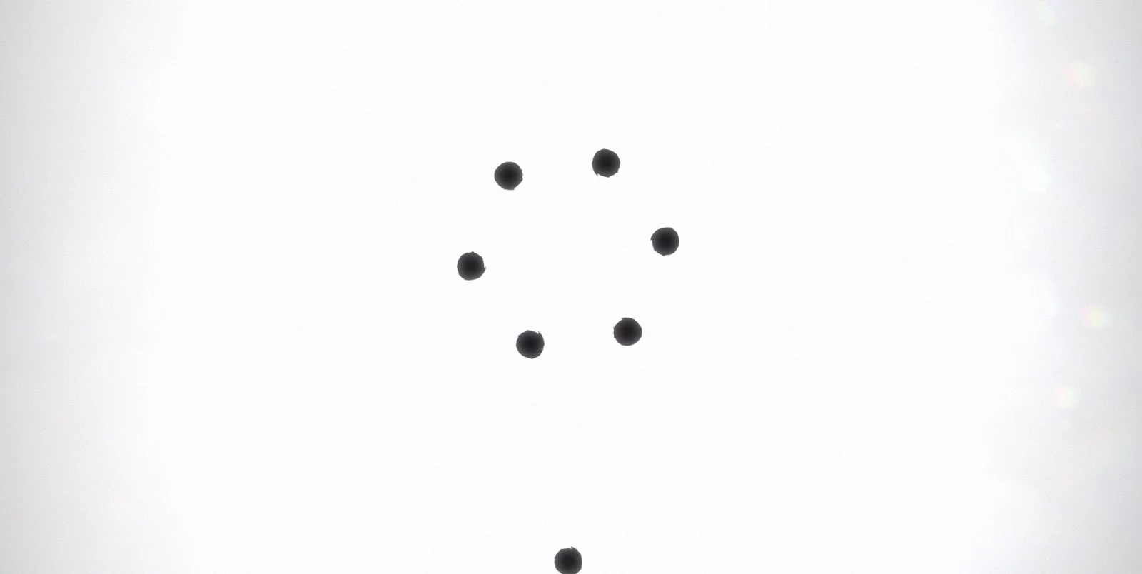 Изображение игры: Black Circle