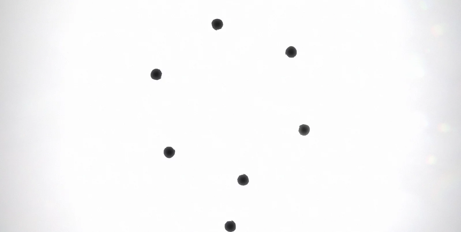 Изображение игры: Black Circle