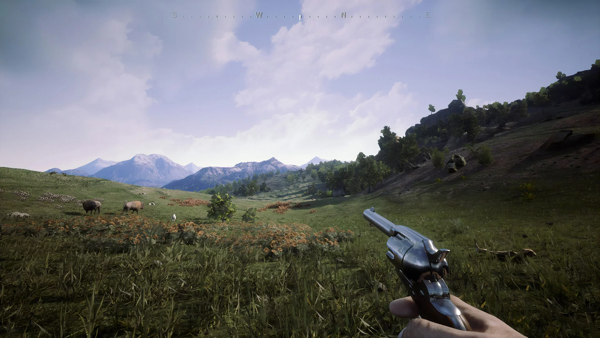 Изображение игры: Outlaws of the Old West