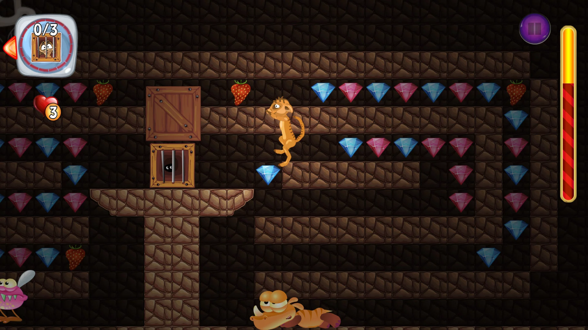 Изображение игры: Ace Meerkats