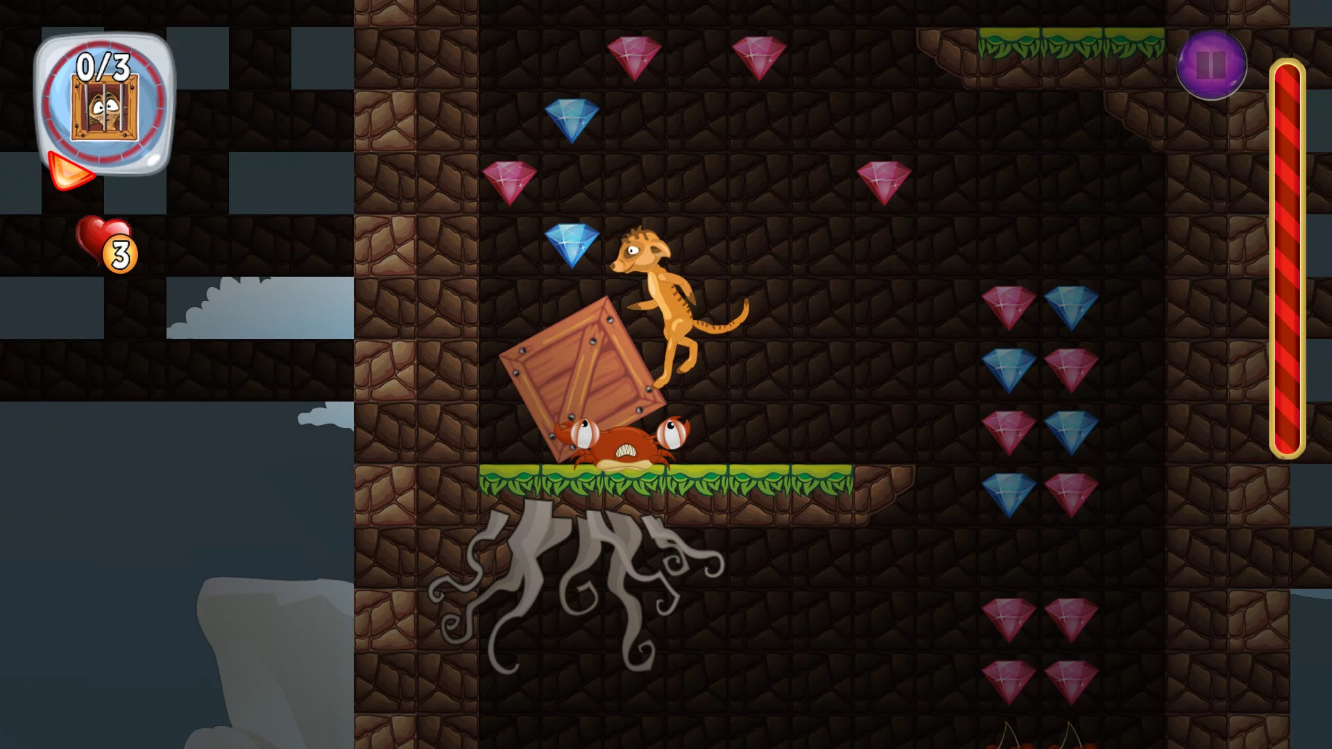 Изображение игры: Ace Meerkats