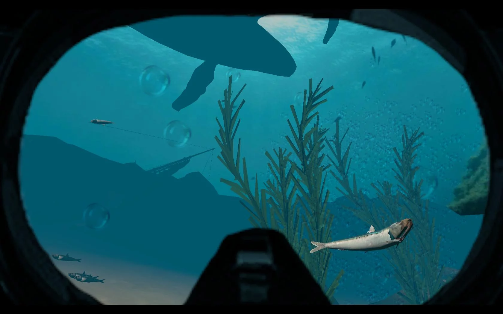 Изображение игры: Absolute VR Experiences