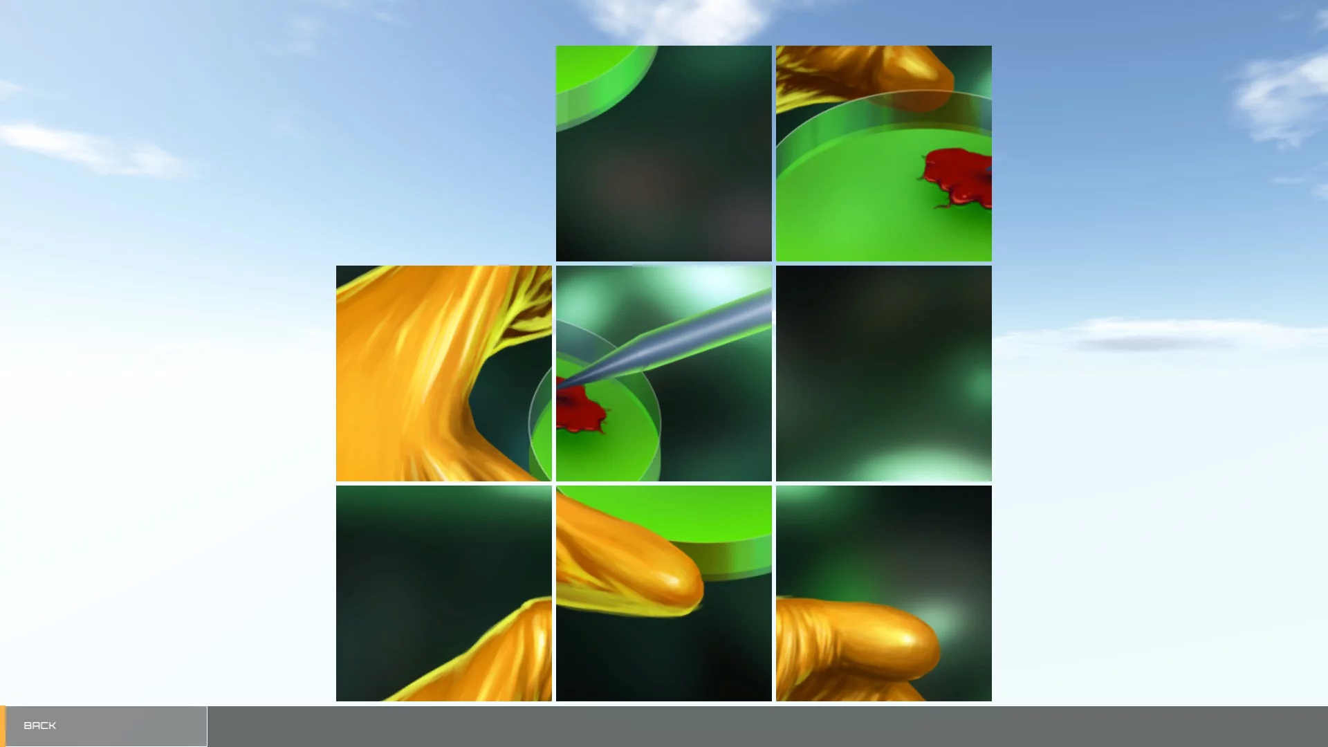 Изображение игры: Dinosaur Hunt Puzzle