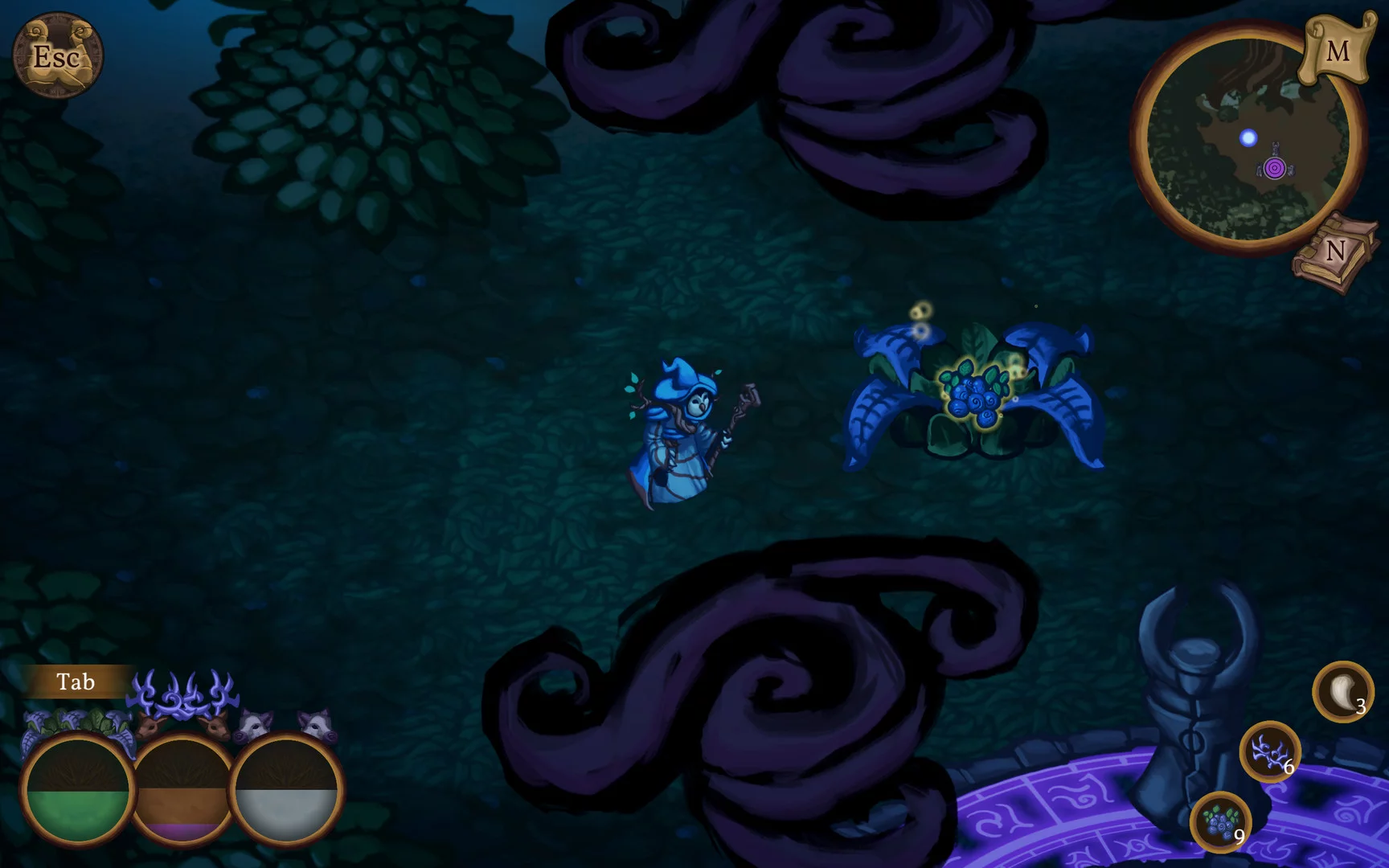 Изображение игры: Witch of the Woods