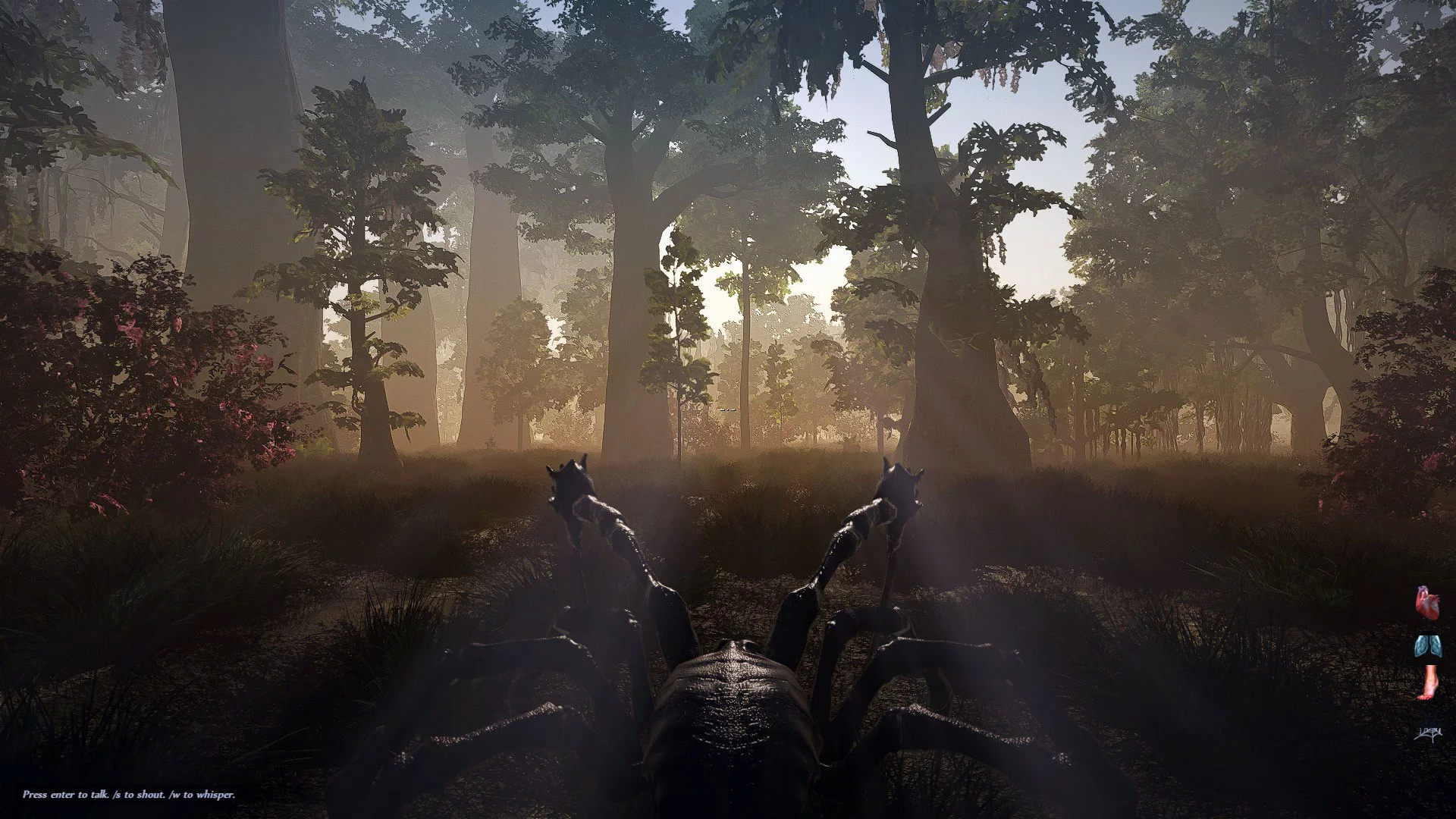 Изображение игры: Trials of Ascension: Exile